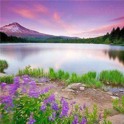 BSport·APP在线登录app下载截图